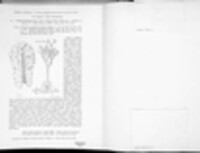 Bremia lactucae image